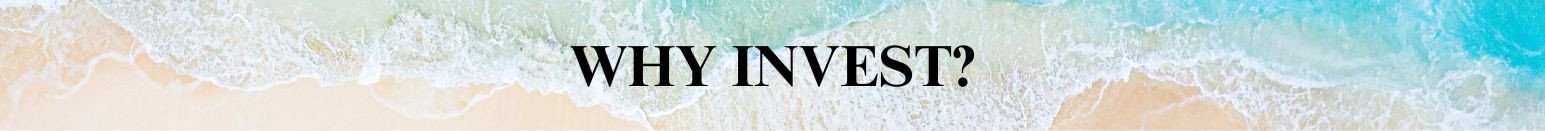 Why Invest?